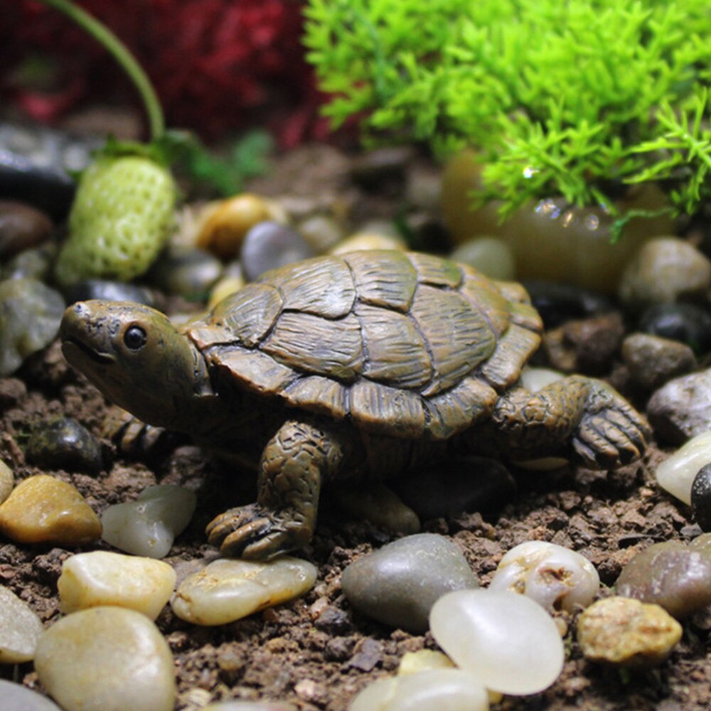 Resin Turtle Crafts