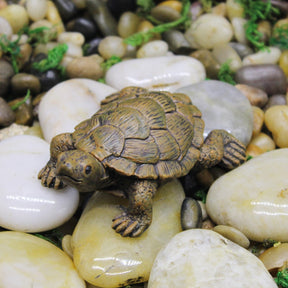 Resin Turtle Crafts